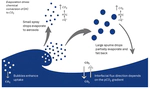 Spray-Mediated Air-Sea Gas Exchange of Carbon Dioxide in High Winds